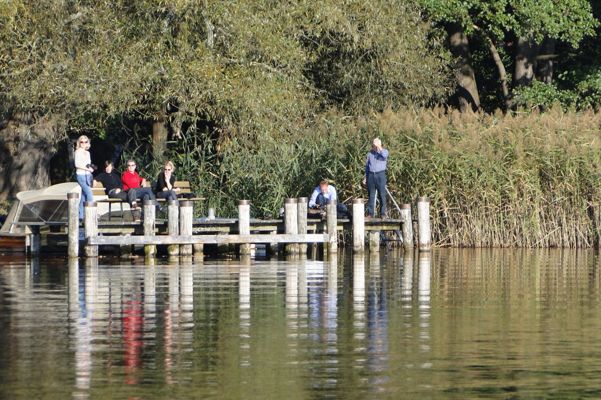 Herbst (3)-Padler-am-Schilf