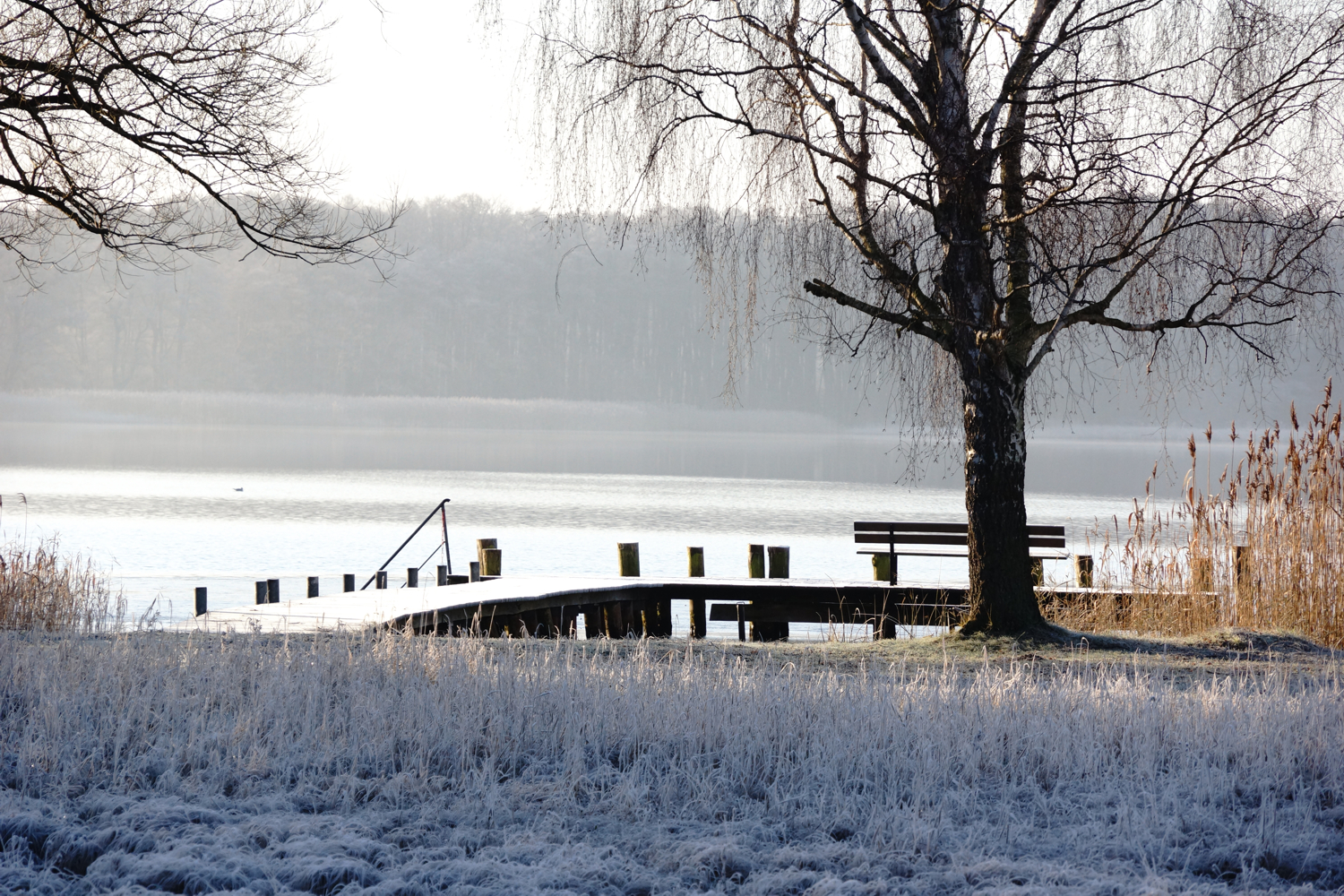 Winter-Steg-0004